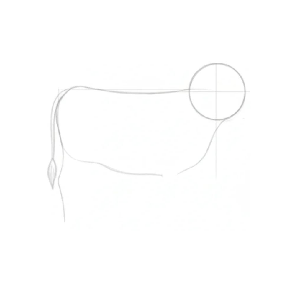 Add leg guidelines and basic leg shapes