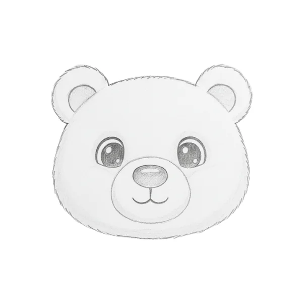 Bear Face Drawing