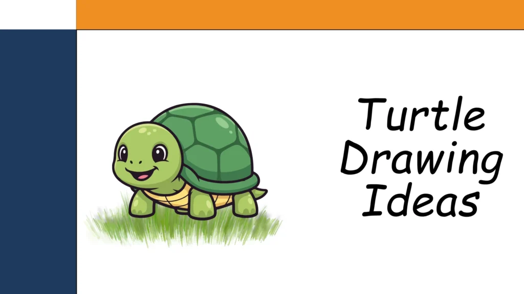 Turtle Drawing Ideas