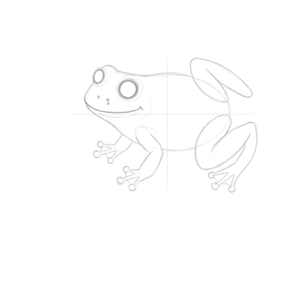 Add details and expression