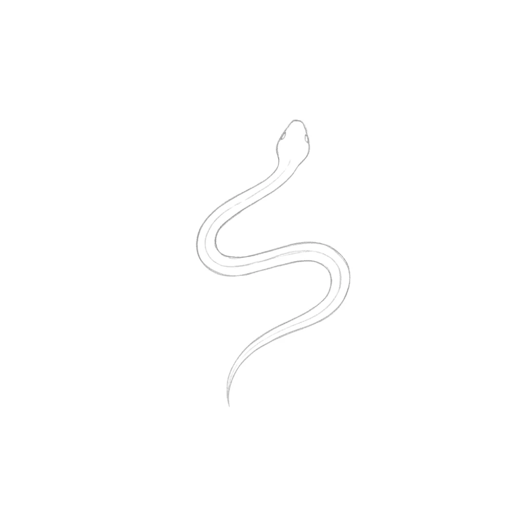 Add the Basic Body Shape