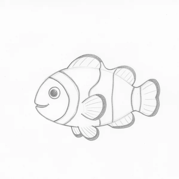 Clownfish Drawing