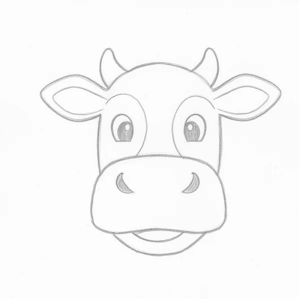 Cow Face Drawing
