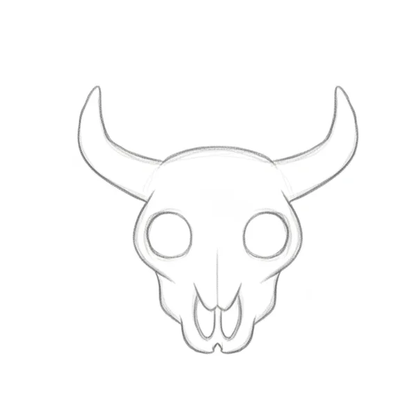 Cow Skull Drawing