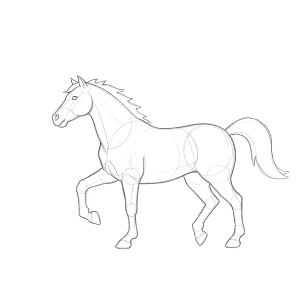 Horse Kicking Backward in Defense