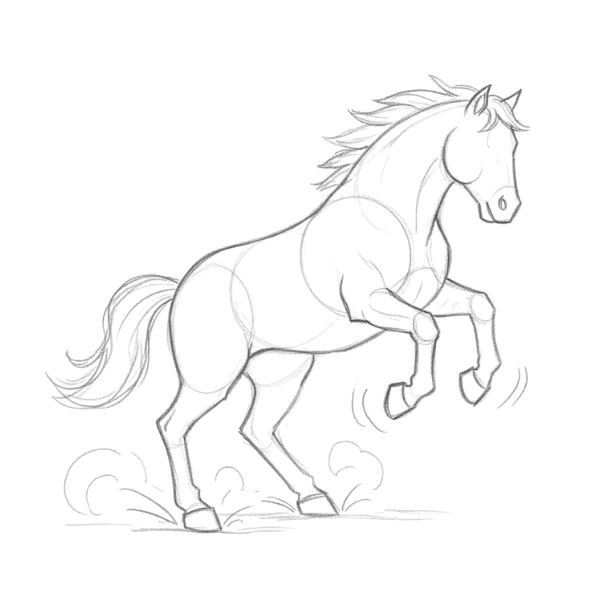Horse Skidding to Stop on Sand