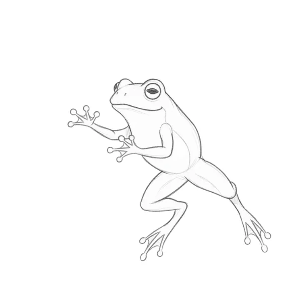 Jumping Frog Drawing