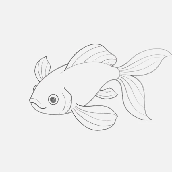 Koi Fish Drawing