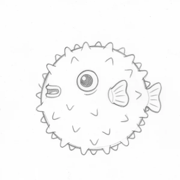 Puffer Fish Drawing