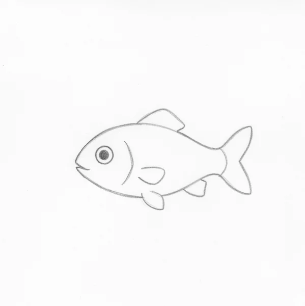 Realistic Fish Drawing
