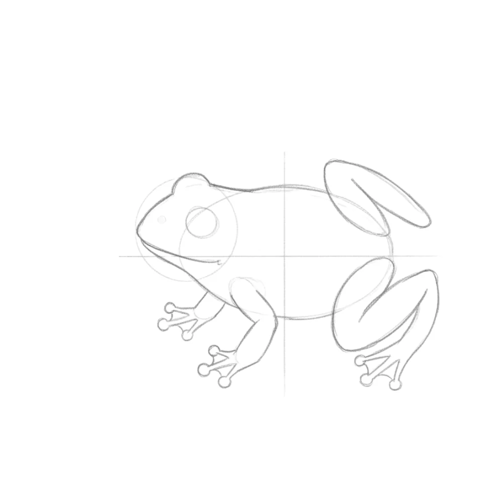 Shape the legs and feet