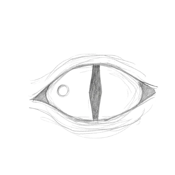 Snake eyes drawing