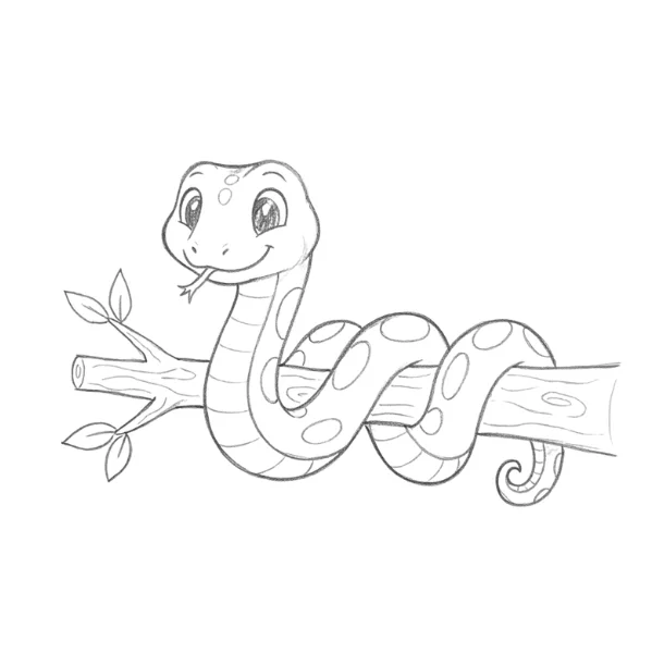 Snake Wrapped Around Branch Drawing