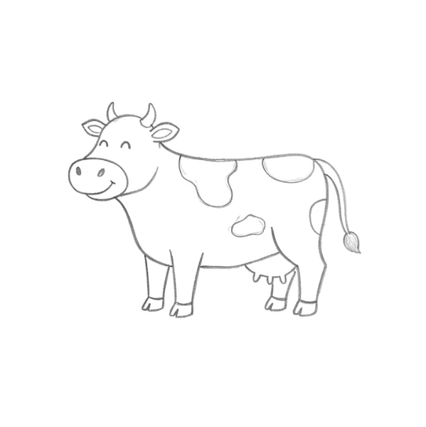 Standing Cow Drawing