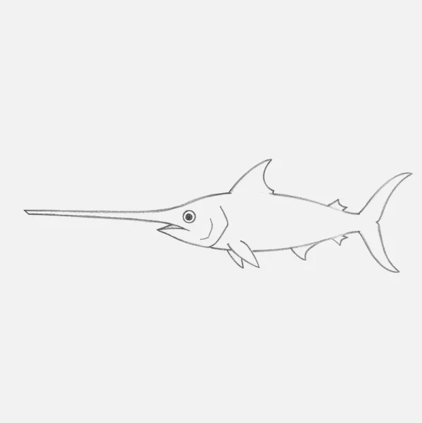 Sword Fish Drawing