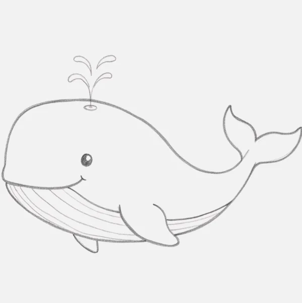 Whale Drawing