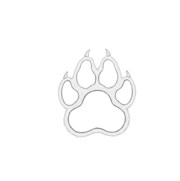 Wolf Paw Drawing
