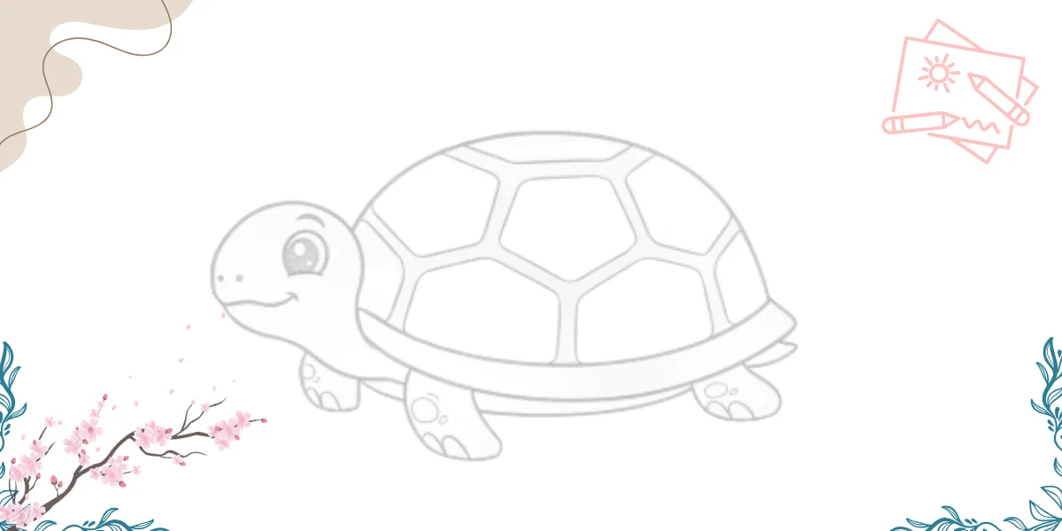 how to draw a turtle