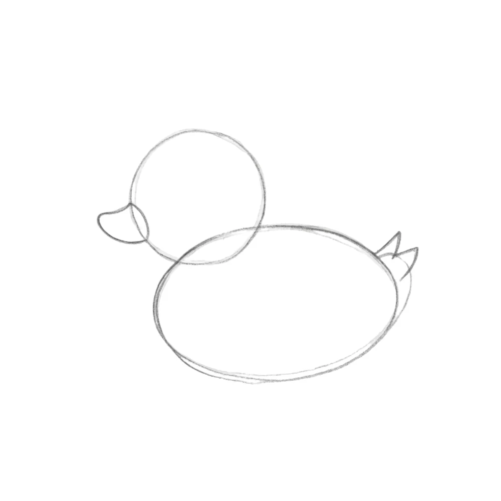 Add the beak and tail