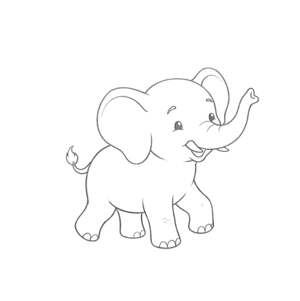 Baby Elephant Drawing
