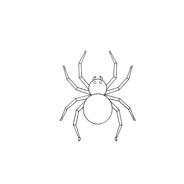 Black Spider Drawing