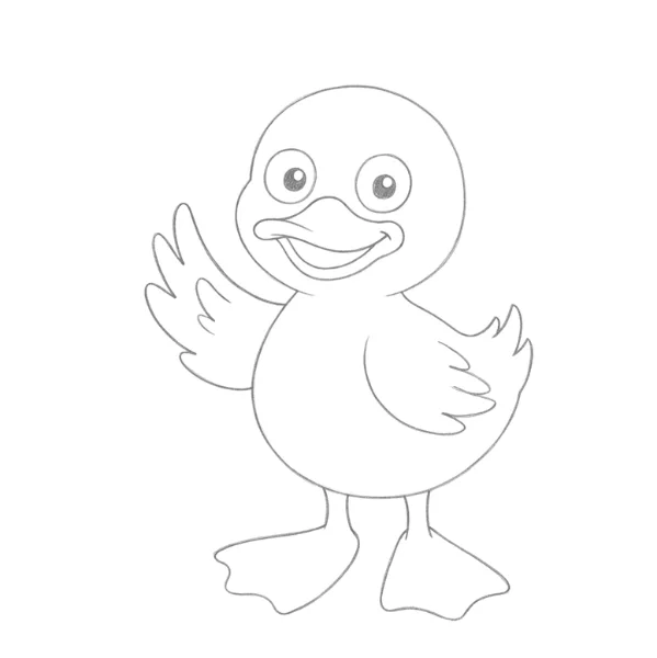 Cartoon Duck Drawing