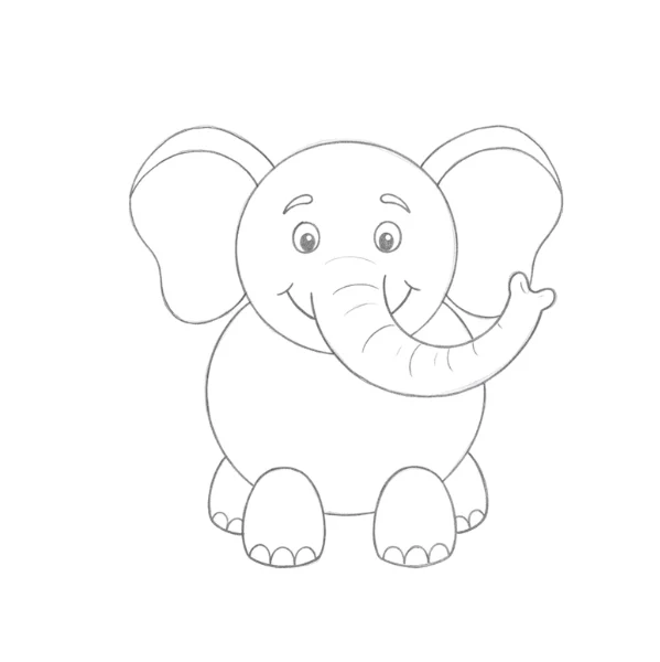 Drawing an Elephant