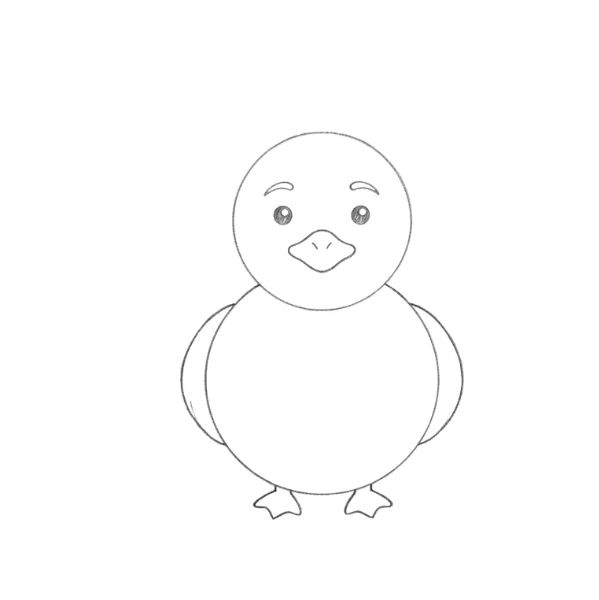 Duck Drawing Easy