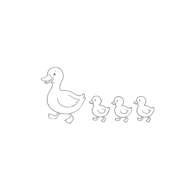 Duck Family Drawing