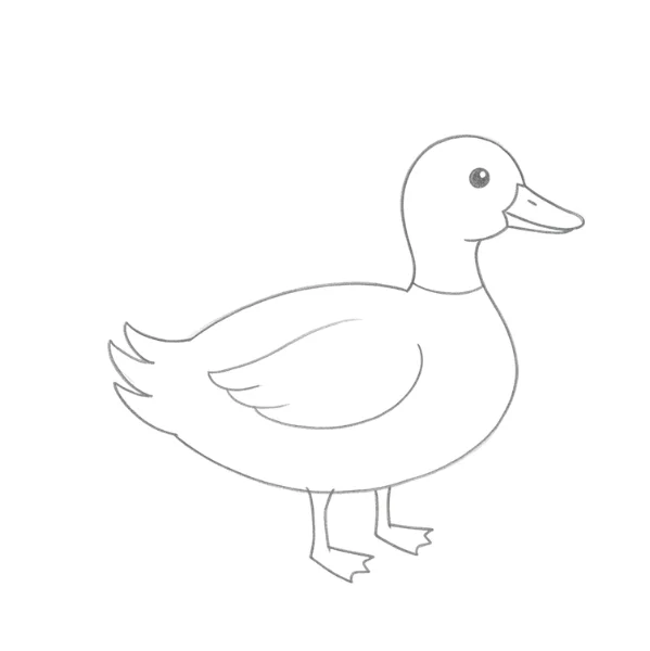 Duck Simple Drawing
