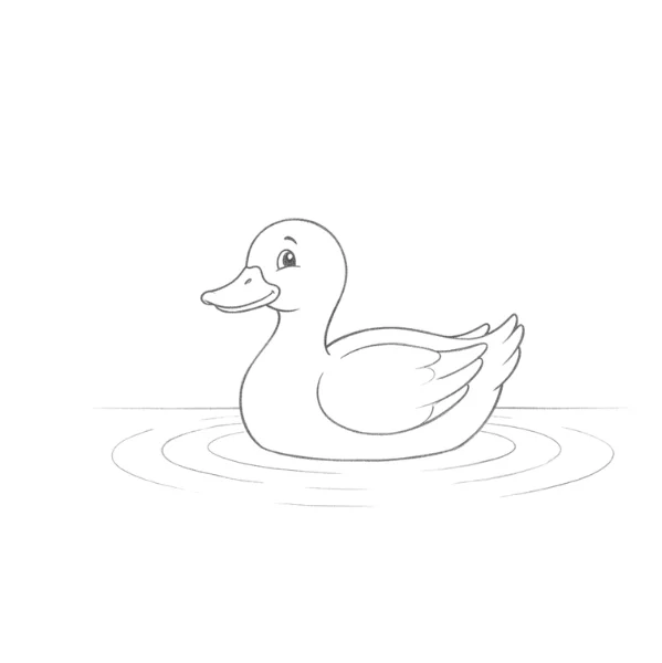 Duck Swimming Drawing