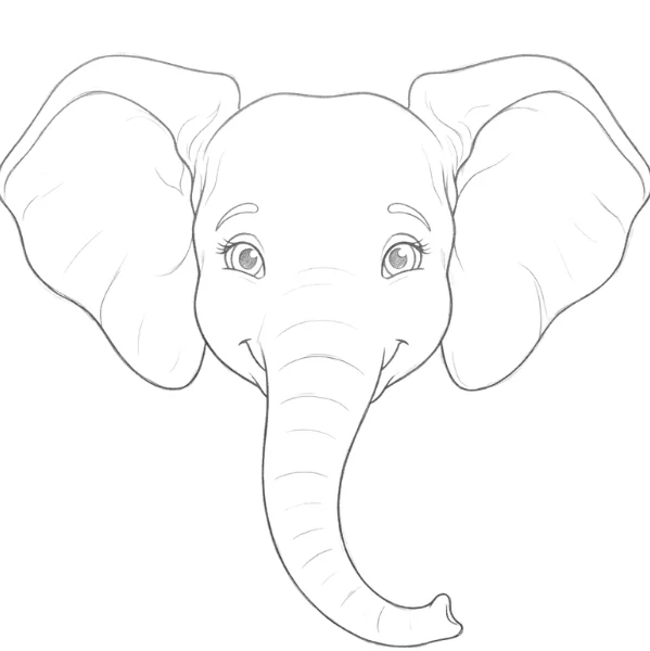 Elephant Face Drawing
