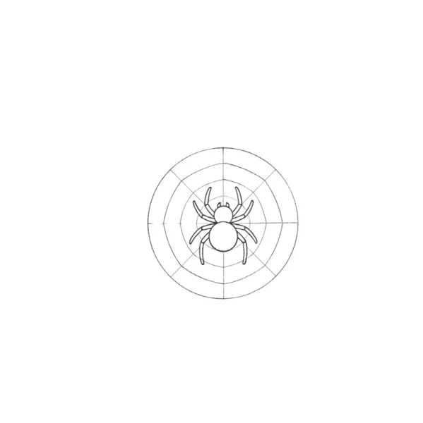 Garden Spider Drawing