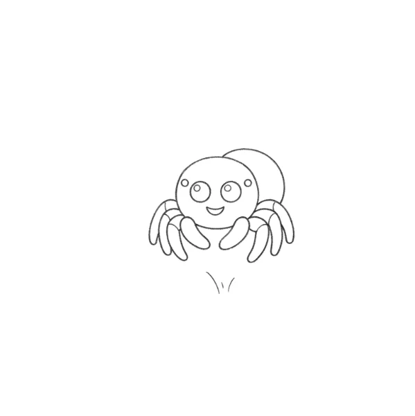 Jumping Spider Drawing