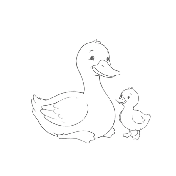 Mother Duck Drawing