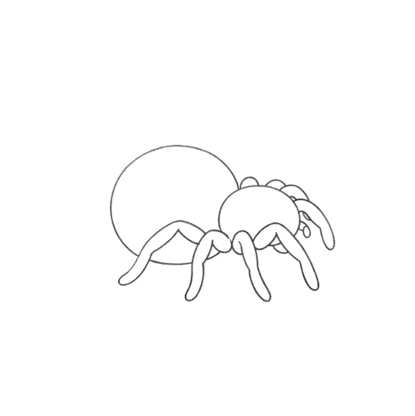 Simple Spider Drawing