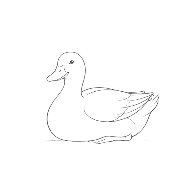 Sitting Duck Drawing