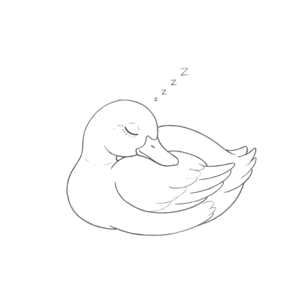 Sleeping Duck Drawing