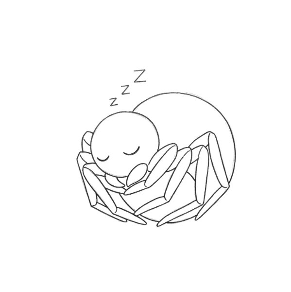 Sleeping Spider Drawing