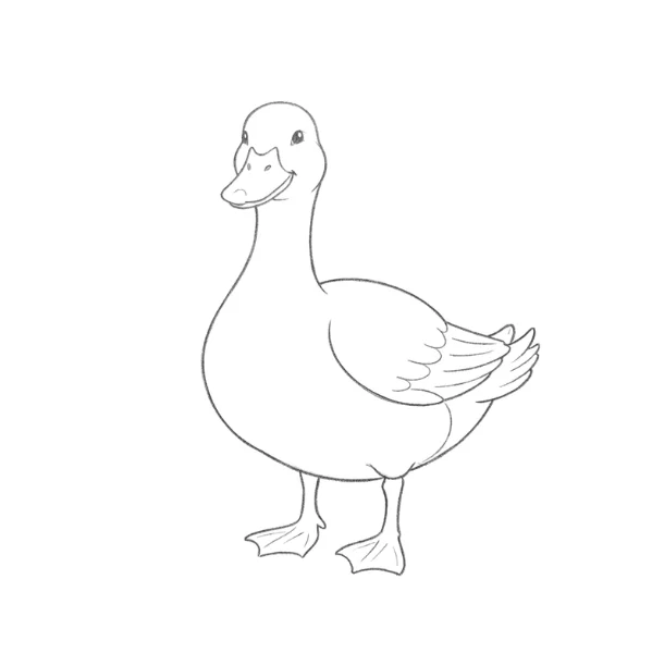 Standing Duck Drawing