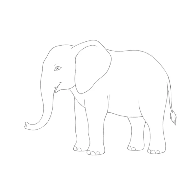 Standing Elephant Drawing