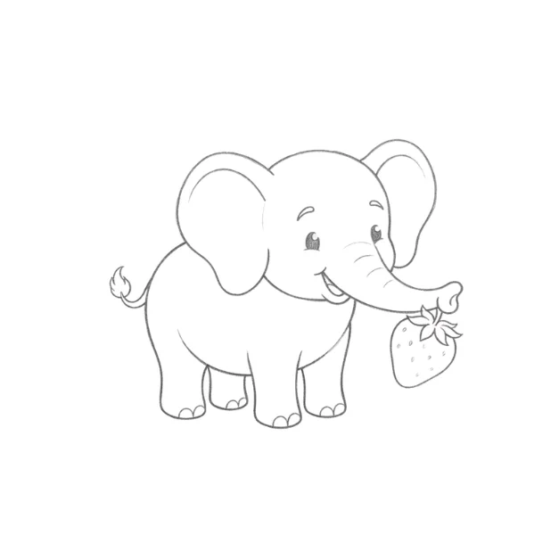 Strawberry Elephant Drawing