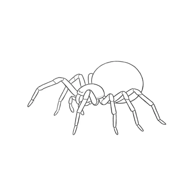Walking Spider Drawing